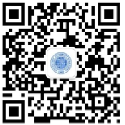 为金属-核酸杂化材料的理性设计与构效